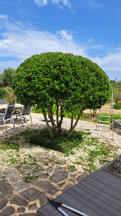 Galeria Jardinería Kleber