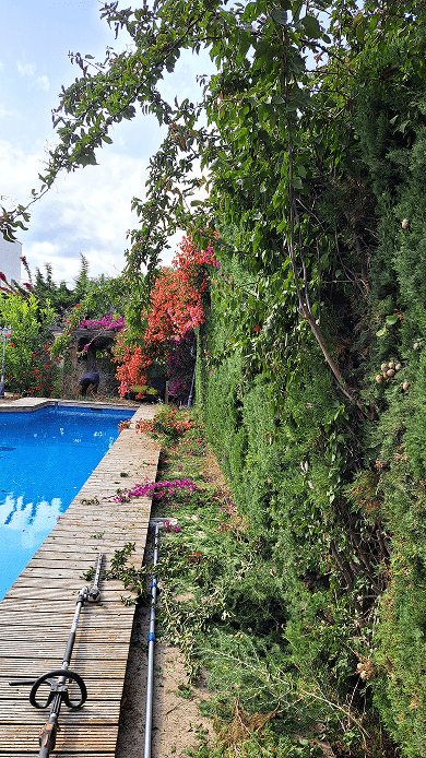 Galeria Jardinería Kleber