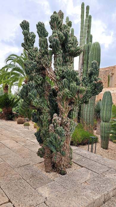 Galeria Jardinería Kleber