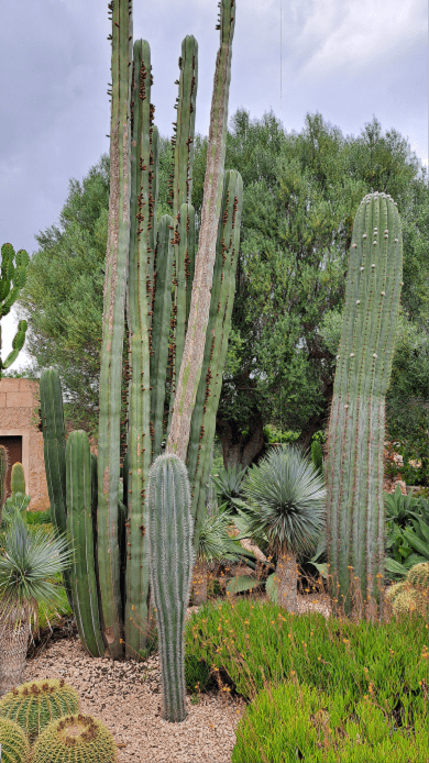 Galeria Jardinería Kleber