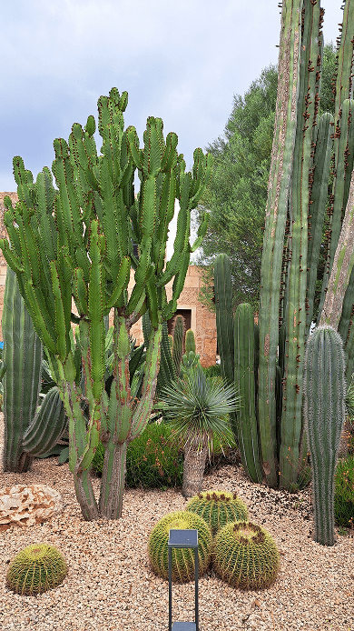 Galeria Jardinería Kleber