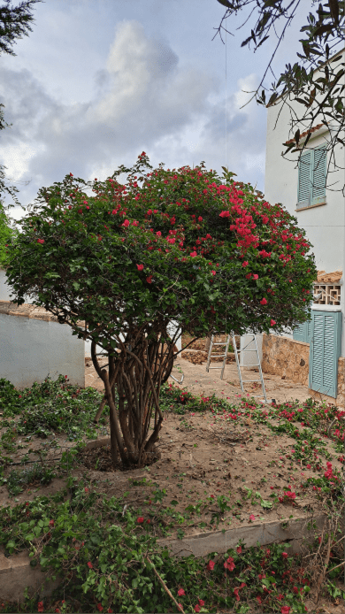 Galeria Jardinería Kleber