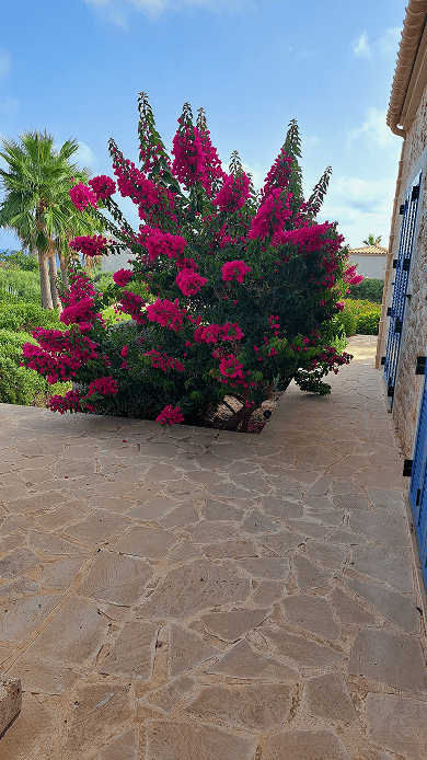 Galeria Jardinería Kleber