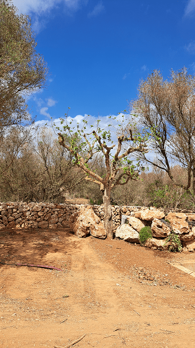 Galeria Jardinería Kleber