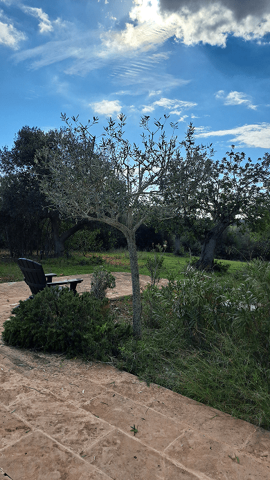 Galeria Jardinería Kleber