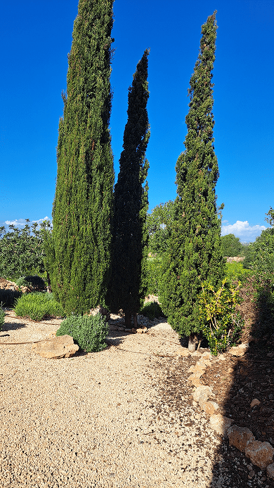 Galeria Jardinería Kleber