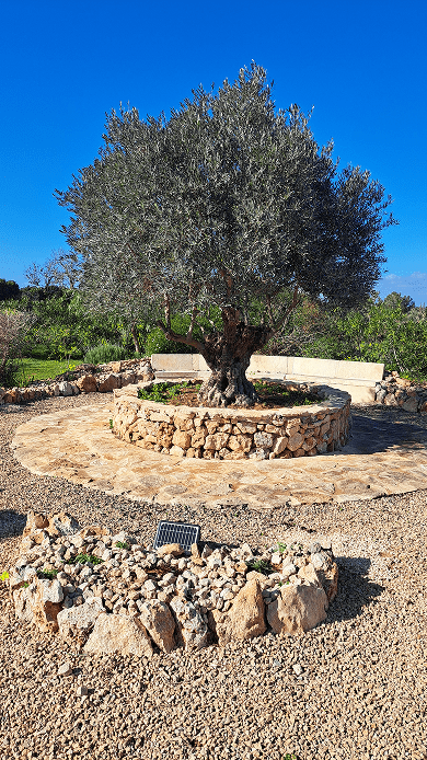 Galeria Jardinería Kleber