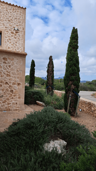 Galeria Jardinería Kleber