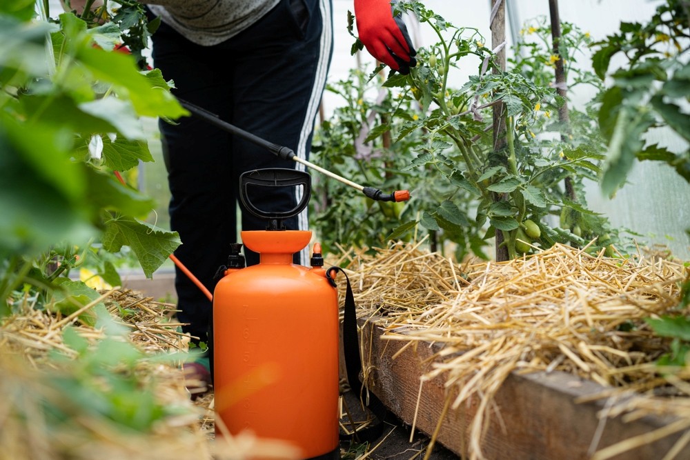 ¿Quieres saber como hacer un tratamiento fitosanitario?