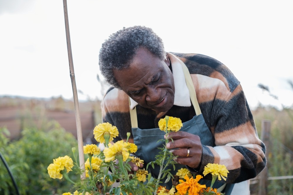 Te explicamos para que sirve un tratamiento fitosanitario