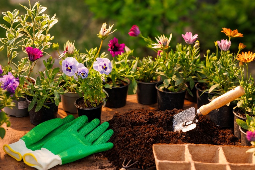 ¿Qué es lo que hace un paisajista?