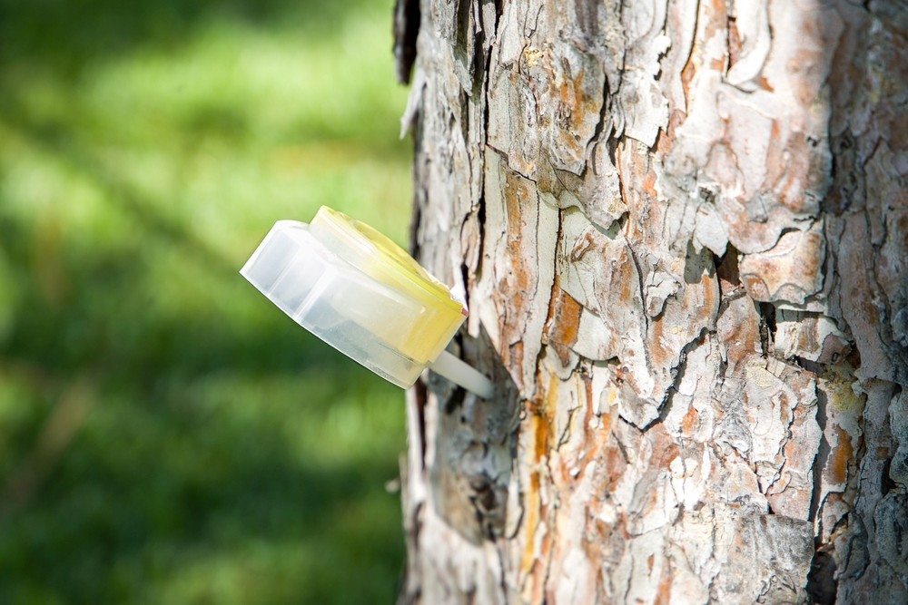 ¿Qué es exactamente un tratamiento fitosanitario?